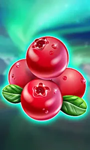 Winterberries
